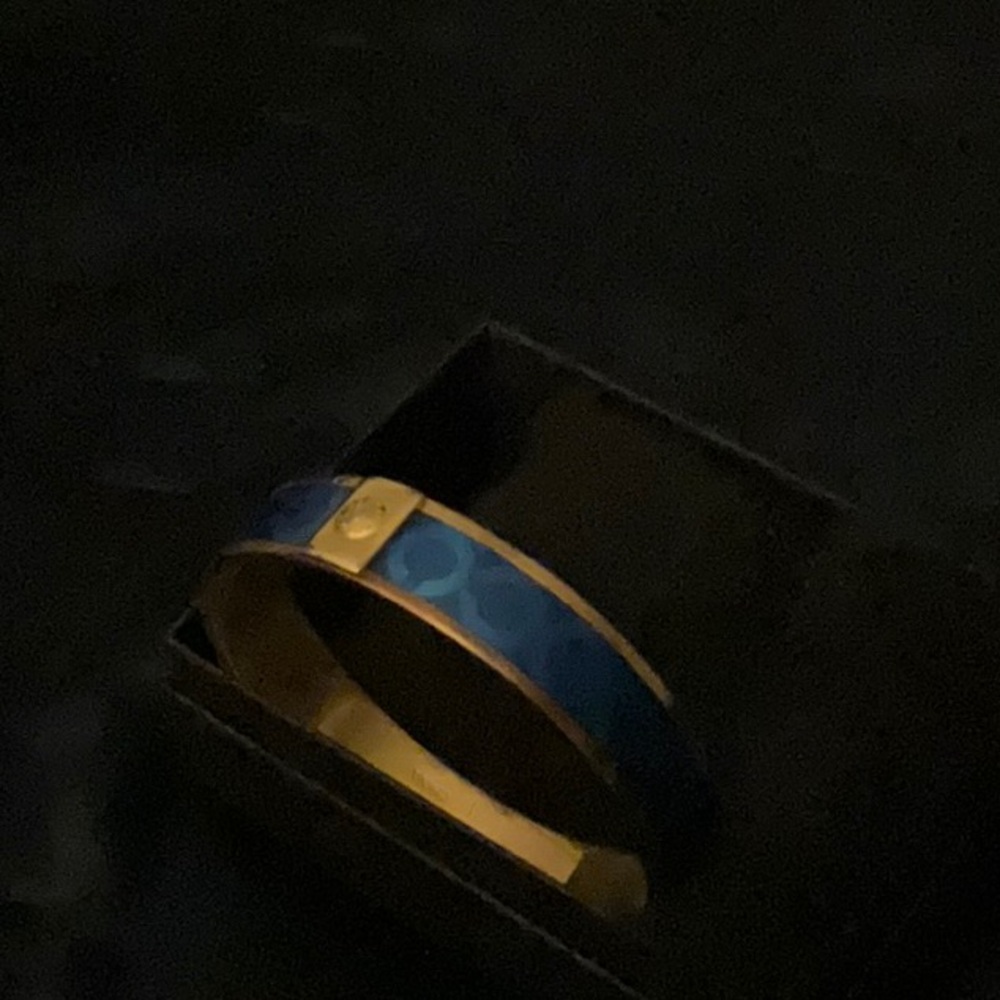 Chic Blue and Gold Coach Bangle